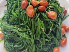 凉拌沙葱-靖远尕六美味羊羔肉