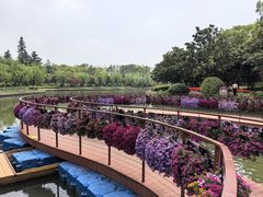 -上海鲜花港