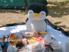 -羊亭河湿地公园