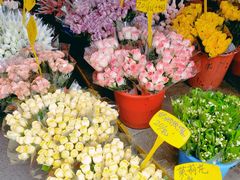 -循礼门鲜花花市(武汉循礼门店)