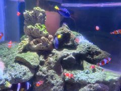 -洛阳龙门海洋馆