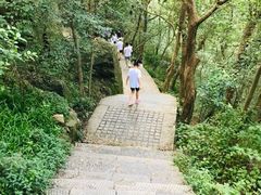 -紫金山山顶公园