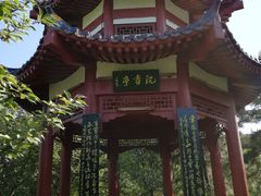 -洛阳市隋唐城遗址植物园