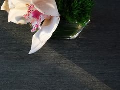 -嘉定紫藤园