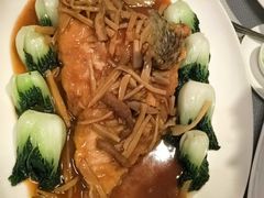 红炆鲜斑翅-镛记酒家