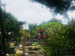 -花果山庄•现烤荔枝柴烧鹅
