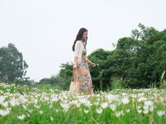 -白鹭湾湿地公园