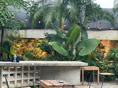 -自由生长植物工作室(深港花卉中心店)