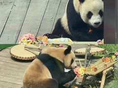 -大连森林动物园