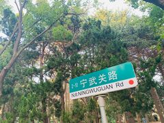 -八大关景区