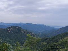 -大岭沟猕猴桃谷风景区