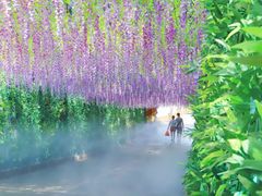 -东莞观音山旅游风景区