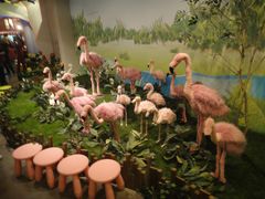 -济州岛泰迪熊博物馆