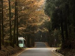 -山王坪喀斯特国家生态公园