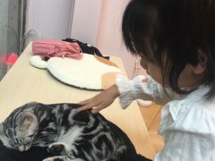 -猫咪派对(江南西店)