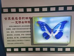 -上海昆虫博物馆