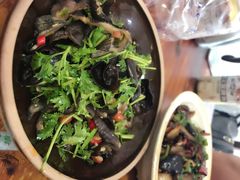 -龙小海荆沙鸽子店(瑞安街店)