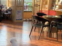 -千城康桥宠物医院CT影像·骨科·心脏专科中心(厚街分院)