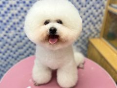 -宠颐生宠物医院·心肾内科·猫专科诊疗中心宠巢店