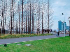 -上海山野camping·户外天幕烧烤·团建拓展营地
