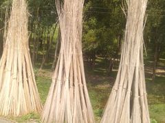 -维乐口腔医院(福清院)