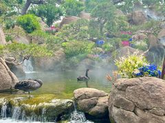 -罗红摄影艺术馆