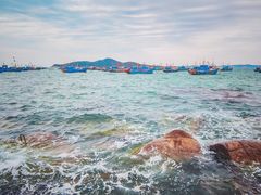 -海源公园