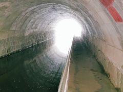 -白水寺森林公园