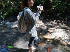 -乌鲁淡布隆国家公园
