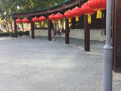 -大兴滨河森林公园