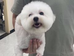-安安宠医宠物医院·异宠·犬猫内科(岳阳分院)
