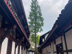 -黄龙溪古镇-古龙寺
