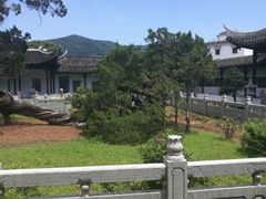-司徒庙