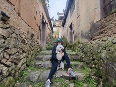 -杨家堂村