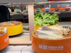 -龍歌自助小火锅(市北台东利群店)