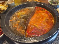 -蜀大侠火锅(总府路店)