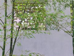 -拙政园