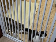 -贝来恩24H动物医院·转诊中心(稻香路店)