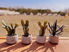 -不觉晓CAMPING(上海迪士尼营地店)