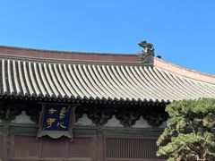 -善化寺