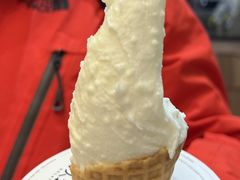 -野人先生现做冰淇淋(北京顺义祥云小镇店)