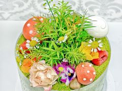-5Cake五度无蔗糖低脂蛋糕(陶然亭店)