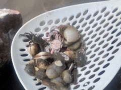 -南汇新城海滩