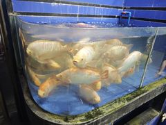 -小海豚•老字号海鲜餐厅(天涯店)