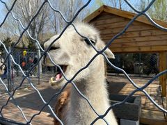 -长白岛森林公园