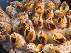 -巽寮印象美食部落餐厅·海鲜·地方特色菜(惠州体验店)