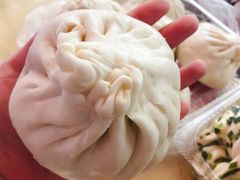 大肉包-白玉兰食品(甜云店)