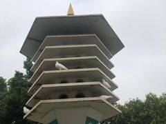 -顺峰山公园