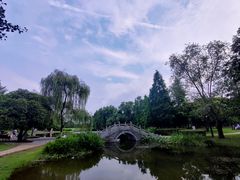 -胡仁根胡记炸炸炸