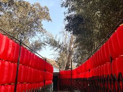 -红螺寺
